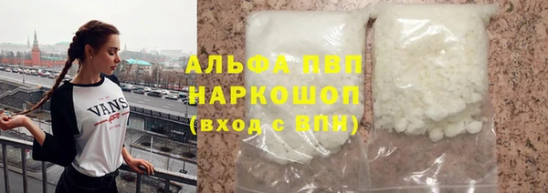 СК Бронницы