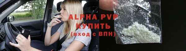 СК Бронницы