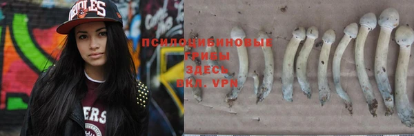 а пвп мука Богородицк
