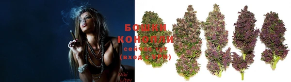 СК Бронницы