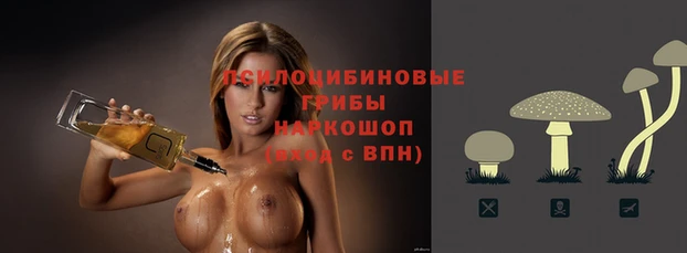 СК Бронницы