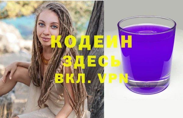 гидра Богородск
