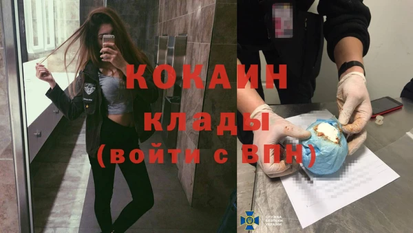 СК Бронницы